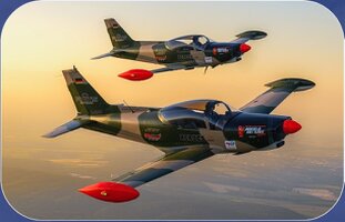 NIEBERGALL TEAM-SF260