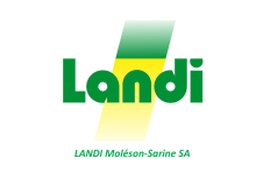 Andi