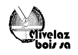 Minervoit